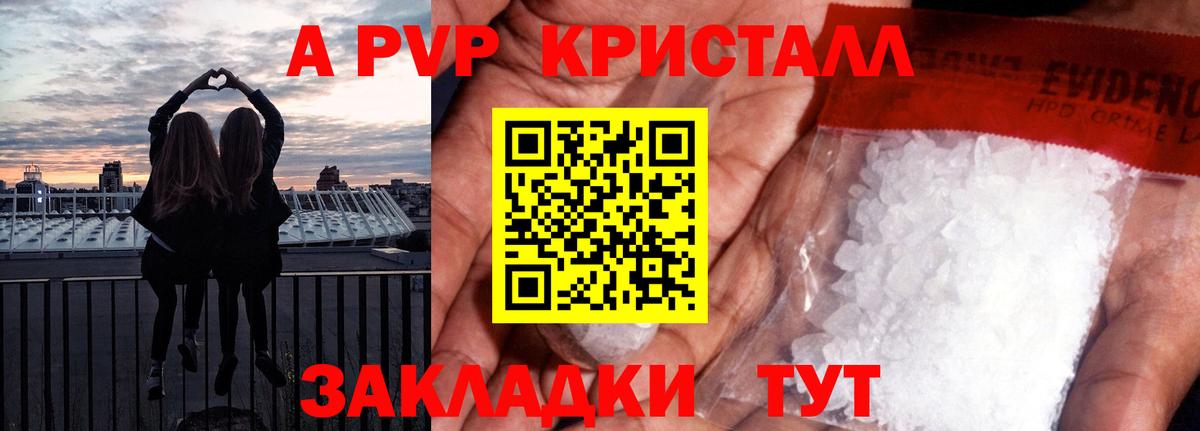 Альфа ПВП СК КРИС Тара