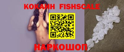 гидра Новозыбков
