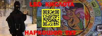 гидра Новозыбков