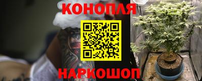 гидра Новозыбков