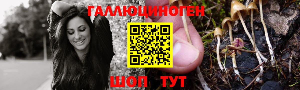 Псилоцибиновые грибы Cubensis  Псилоцибиновые грибы мухоморы  Вход с VPN  Тара 